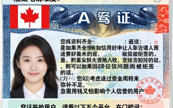 加拿大签证是否容易办理成功,汇整5个黑户借钱0门槛极速下款app