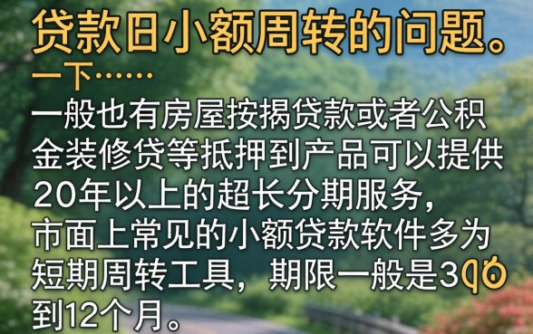 什么样的贷款可以贷20年，规整五个1000至5000的小额贷款软件