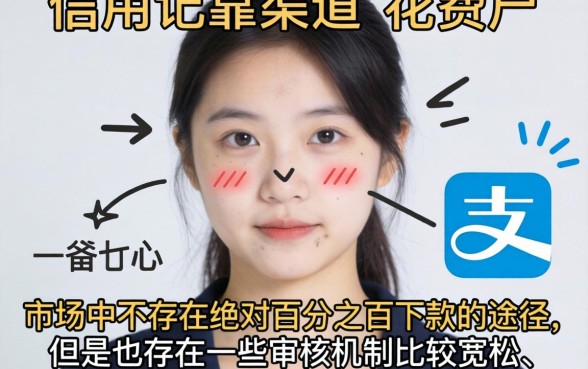 2026网黑必下款的分期口子，概览五个手机支付宝小额贷款的软件