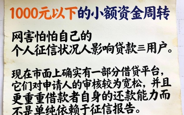 1000小额贷款app，归集五个轻松借款无征信记录的平台