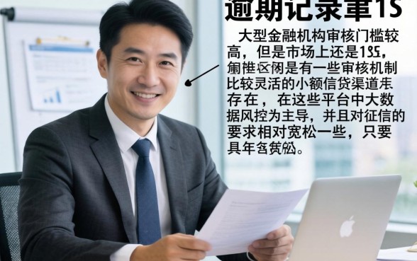 18到55岁的借款口子,筛选5个有逾期借款容易通过的app