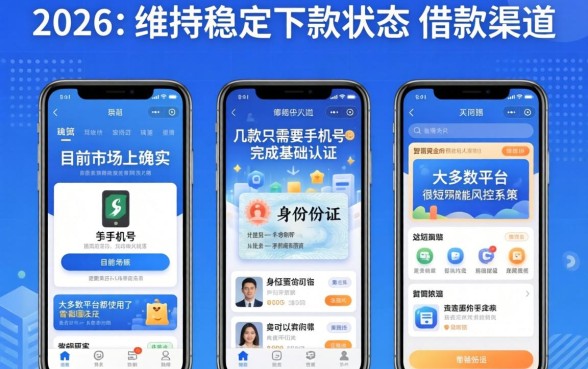 2026还在下款的口子，概览五个手机和身份证快速借钱app