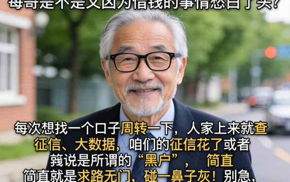 会员制的贷款口子，深入剖析五个无视黑户百分百下款软件