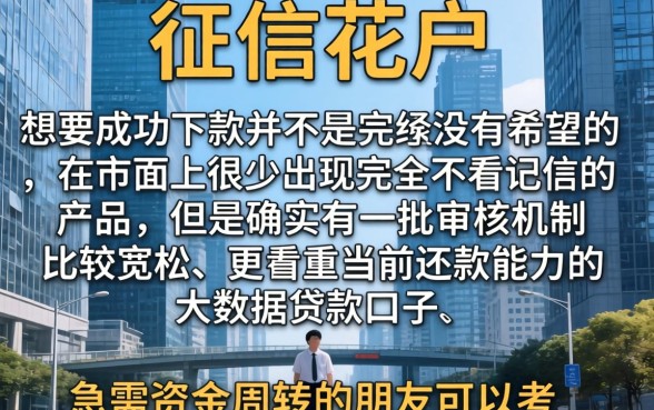 不看征信 逾期也能贷吗，鼎力推荐5个周周到贷款相同系列的app