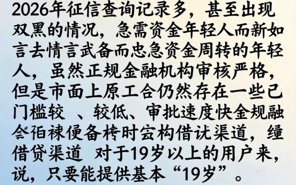 2026双黑秒下的口子，规整五个19岁贷款容易过审批的app