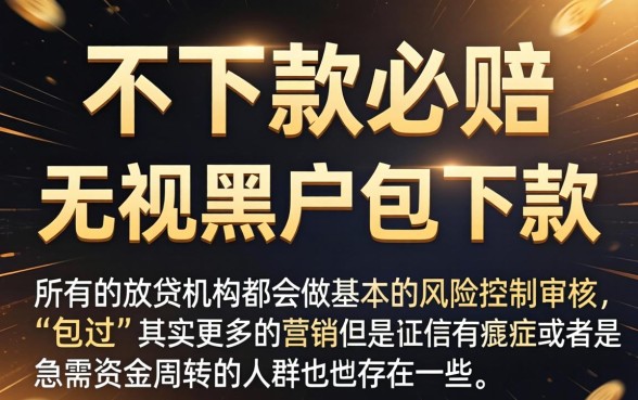 不下款必赔的网贷，概览五个无视黑户包下款的口子