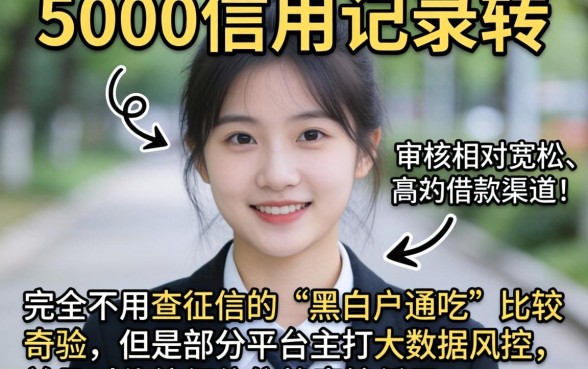 人人5000无视黑白的口子，概括五个轻松借款无压力口子