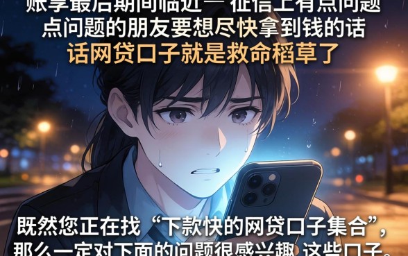 下款快的网贷口子集合,概览5个无视黑花能下款一万元口子