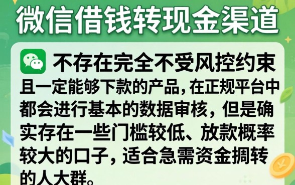 借钱哪里可以转现金的呢微信,条列5个无视风控5000必下口子