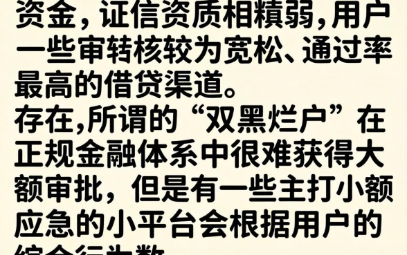借款额度最高的网贷平台，筛选五个双黑烂户风控能下款5000口子