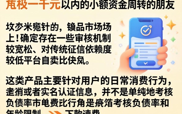 一千内的借款口子,梳理5个不看年龄征信负债的app