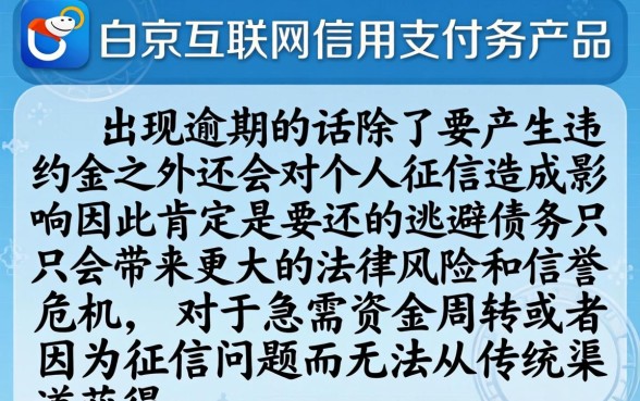 京东白条逾期了还需要还吗,规整五个网贷大口子轻松借软件