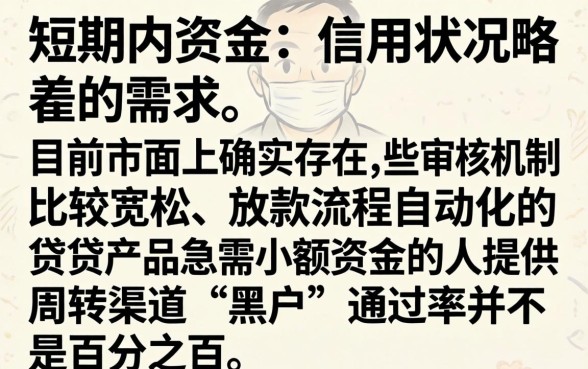 2026秒内借款2000元,汇总5个黑户成功获取大额贷款的app