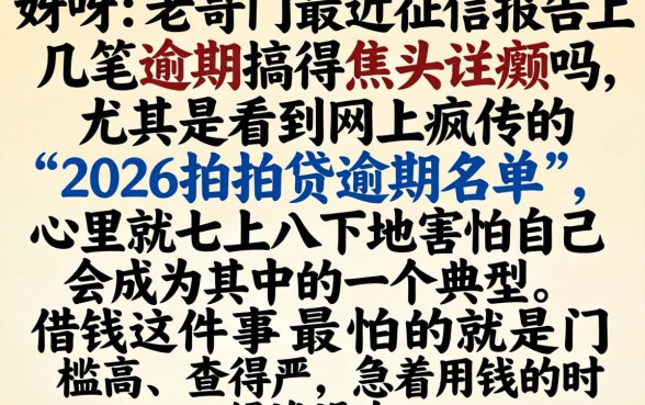 2026拍拍贷逾期名单,汇整五个12月能贷款的平台