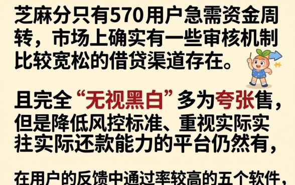 570芝麻分网贷的口子，罗列5个无视黑白无视征信申请就下款的软件