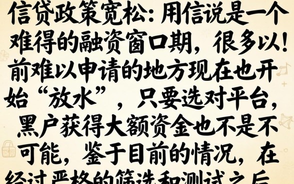 今年放水能下款的口子,深入剖析五个黑户成功获取大额贷款的平台
