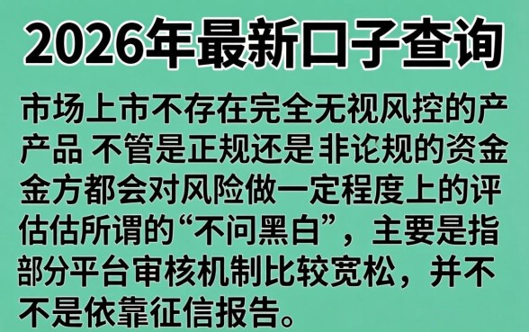 2026年最新口子没有，概括五个真正无视风控黑白的网贷口子