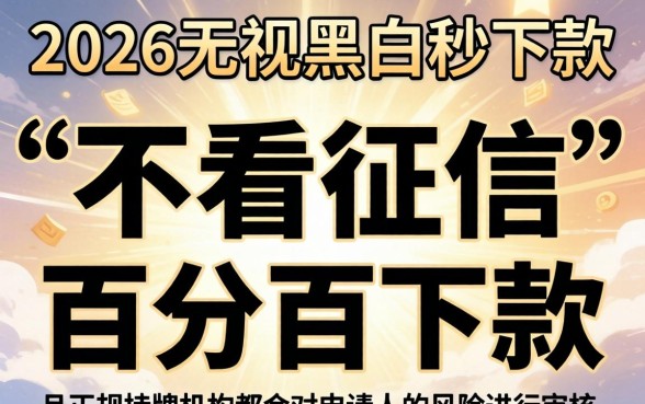 2026无视黑白秒下款口子，详细阐述5个黑户必下款的口子