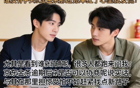京东金条逾期协商有用么，条列5个高炮能下款的口子