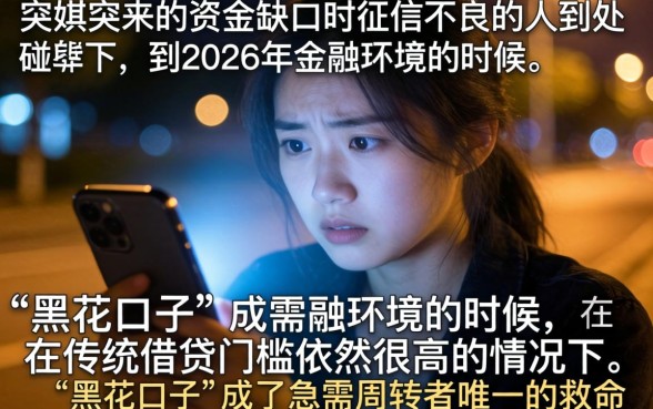 不看芝麻分的黑花口子借款，规整5个必下的小额贷款平台