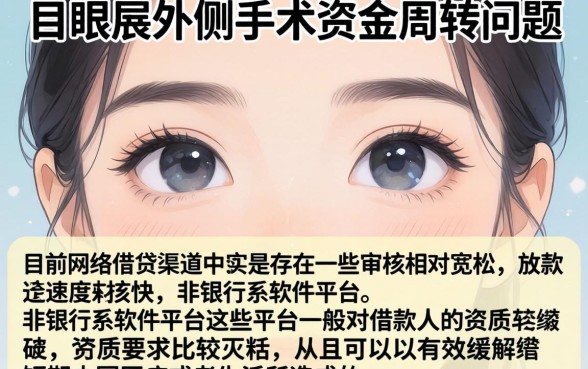 下眼睑那里外面开的口子，枚举五个借款口子最容易下软件