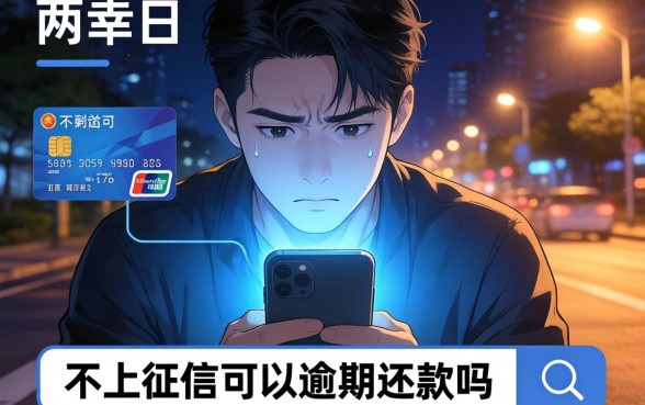 不上征信可以逾期还款吗,深入剖析五个无视评分的贷款软件