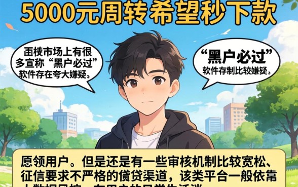 5000秒下的口子，规整5个网贷黑户必过软件