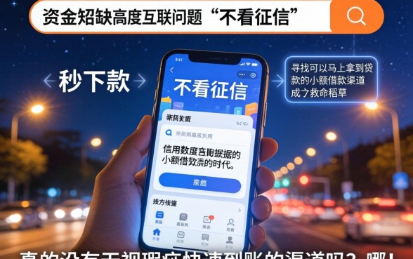可以秒下款的小额贷款口子，枚举五个网贷无视不查征信口子