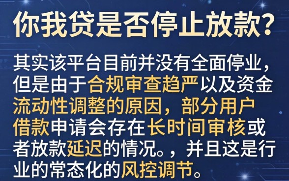 你我贷是不是停止放款了，详尽说明五个闪电审批的app