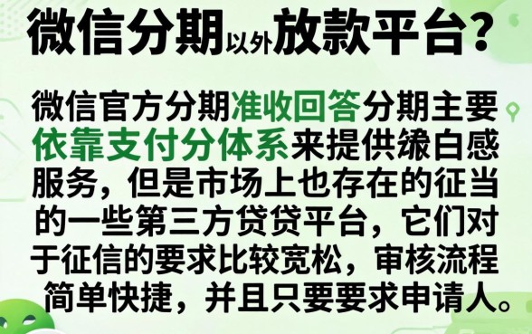 什么平台可以微信分期，概括五个无视一切是人就下款