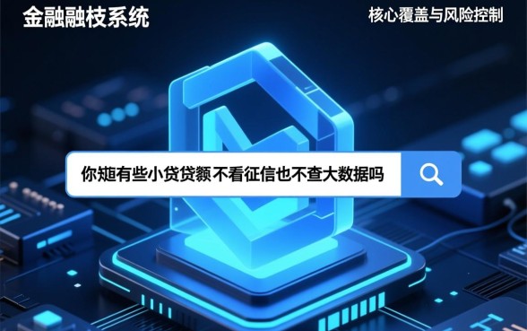 小额贷款不看征信不查大数据是真的吗