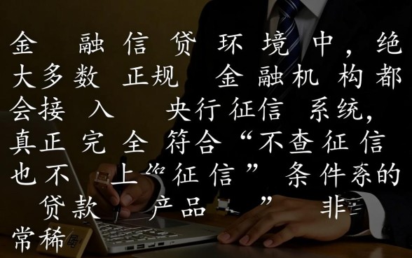哪些贷款不查征信也不上,2026最新不看征信的贷款口子 2026最新不看征信的贷款口子