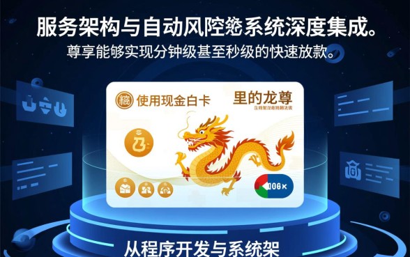 使用现金白卡龙尊享能快速获得贷款吗