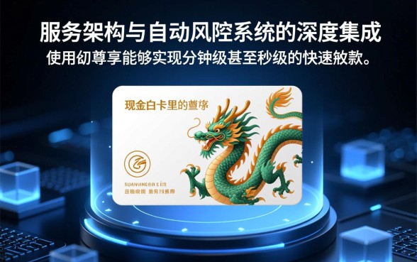 使用现金白卡龙尊享能快速获得贷款吗