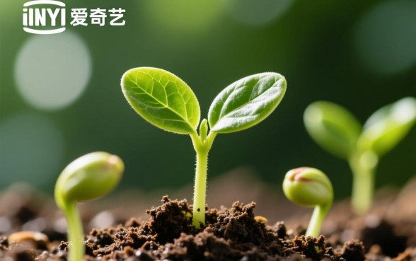 像爱奇艺小芽贷一样的贷款平台有哪些