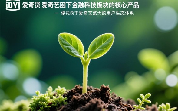 像爱奇艺小芽贷一样的贷款平台有哪些