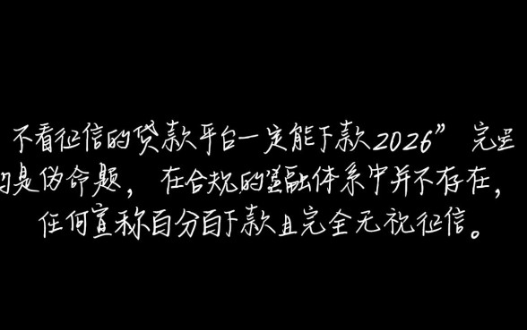 不看征信的贷款平台2026一定能下款吗