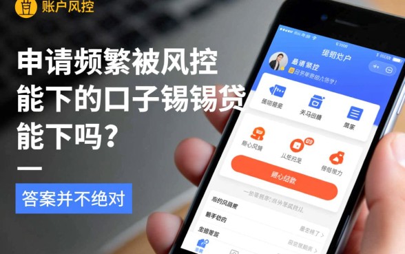 申请频繁被风控的口子还能借吗