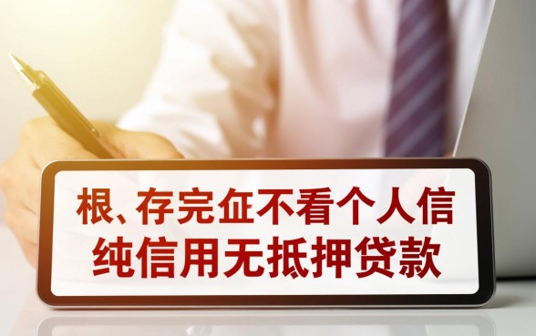 有没有不看个人征信的万无抵押贷款方案