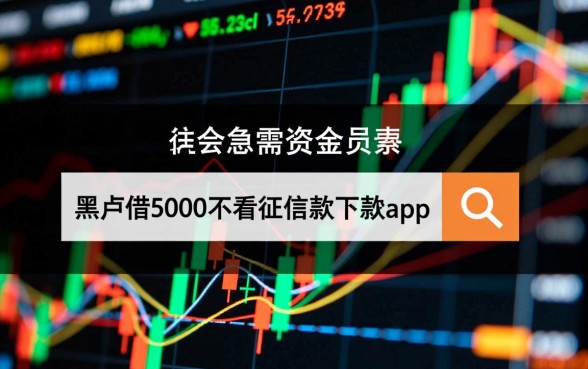 黑户借5000不看征信秒下款吗