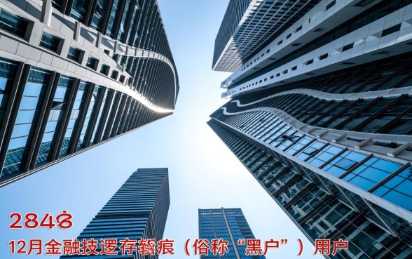 2026年12月黑户能下的口子有什么