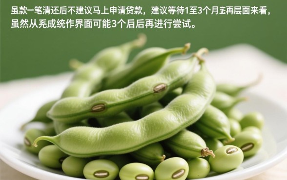 芸豆分还清后能马上申请贷款吗