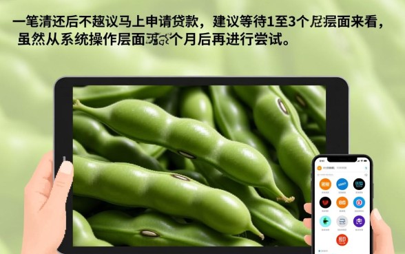 芸豆分还清后能马上申请贷款吗