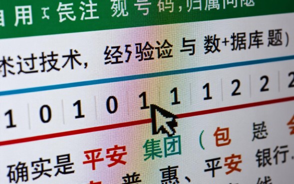 10101122是平安贷款电联吗