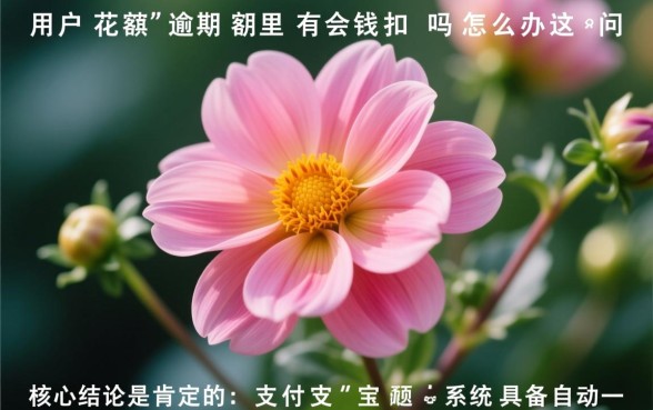 花呗逾期余额有钱会扣款吗,花呗逾期了怎么处理? 花呗逾期余额有钱会扣款吗