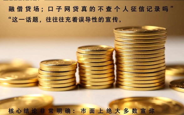 口子网贷真的不查个人征信记录吗,2026不查征信的网贷口子能下款吗 2026不查征信的网贷口子能下款吗