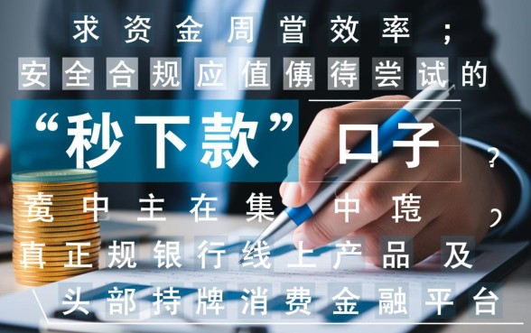 小额贷款秒下款口子有哪些