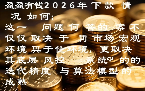 盈盈有钱2026年下款情况如何