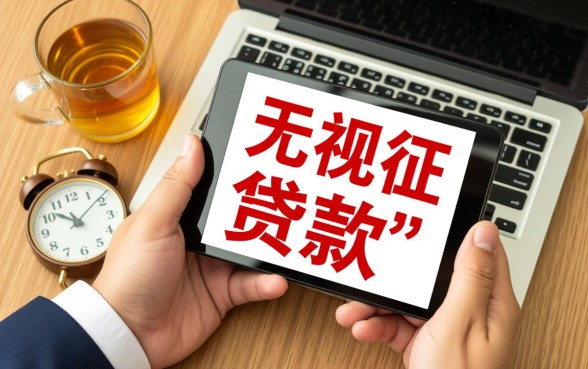 无视征信的20种网贷有哪些平台