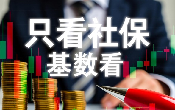 什么借款只看社保基数不看年限呢